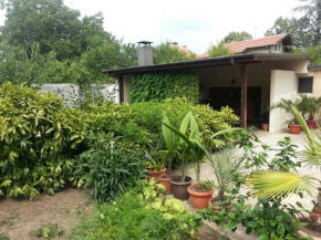Guest House Zhelevi